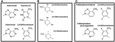 Nucleobase-modified nucleosides and nucleotides: Applications in biochemistry, synthetic biology, and drug discovery